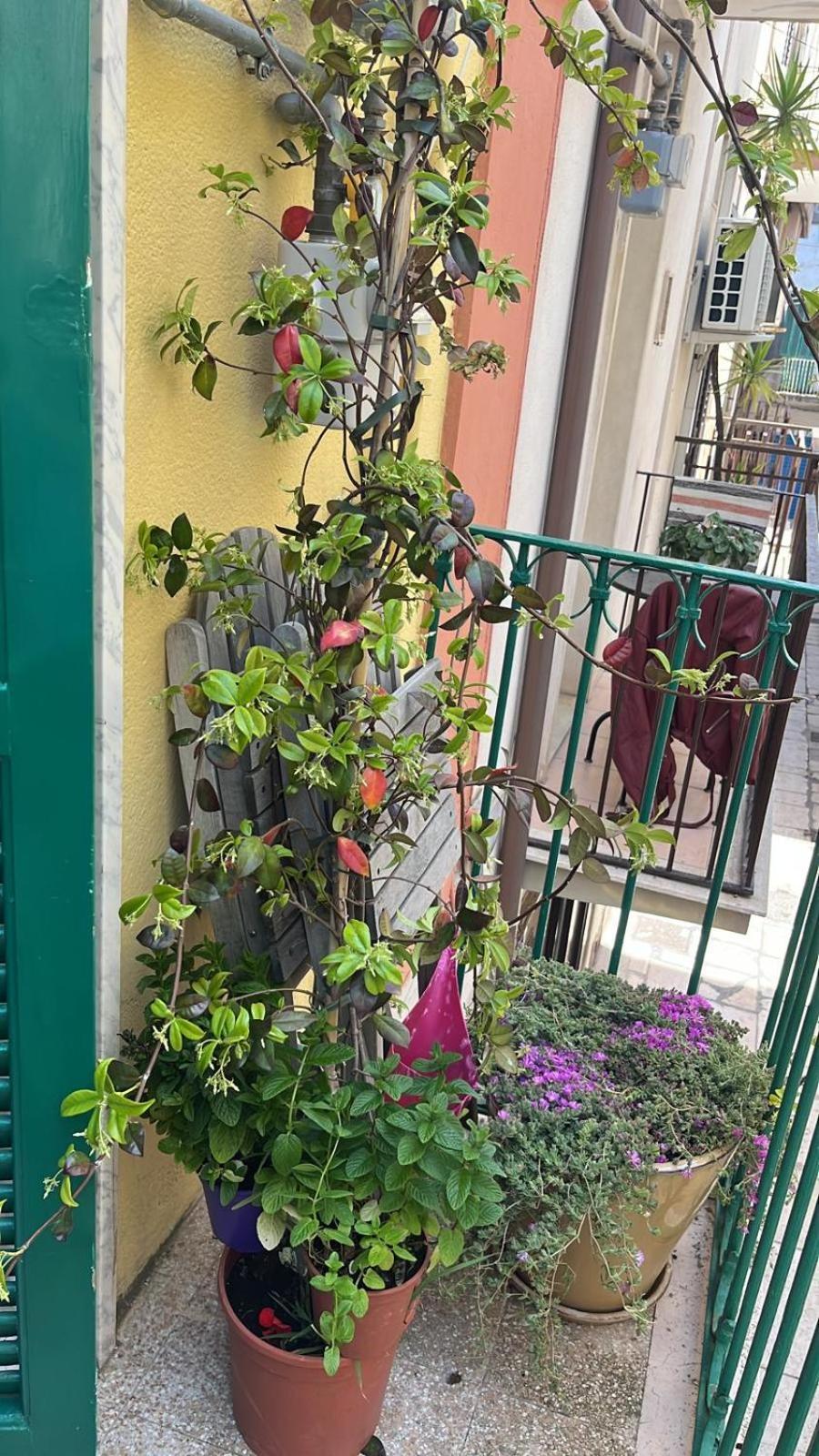 La Casa Di Nonna Sisina Villa Mola di Bari Exterior foto