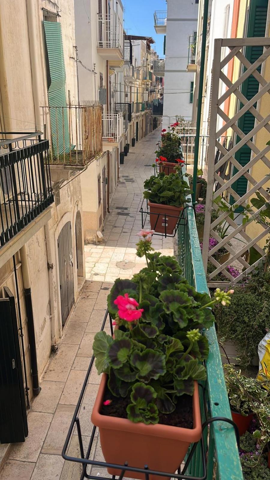 La Casa Di Nonna Sisina Villa Mola di Bari Exterior foto